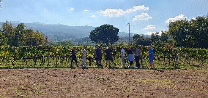 Foto: etna wine tour
